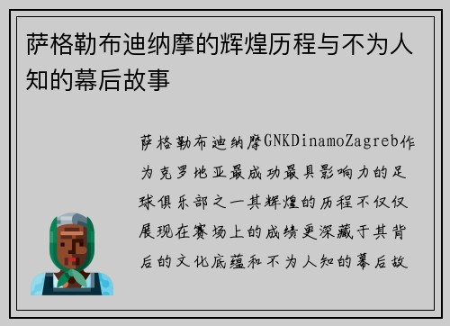 萨格勒布迪纳摩的辉煌历程与不为人知的幕后故事 萨格勒布迪纳摩的辉煌历程与不为人知的幕后故事